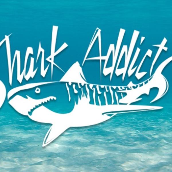 Shark Addicts